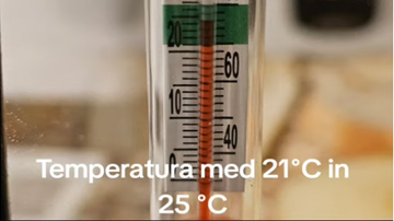 Idealna temperatura za Gorgojo žuželke je med 21 in 25 stopinj